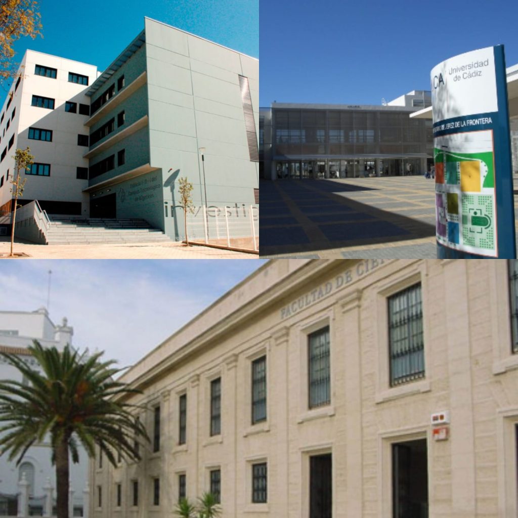 Concesión de los Premios de Colegiación “Ángel Luis Serrano Casal” del Excmo. Colegio Oficial de Graduados Sociales de Cádiz y del Colegio Profesional de Trabajo Social de Cádiz, Curso Académico 2024-25